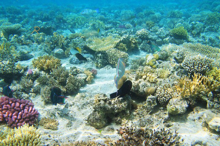 Ägypten Reiserouten im Vergleich | 7, 9, 12, 15 oder 21 Tage – Reisebild 16