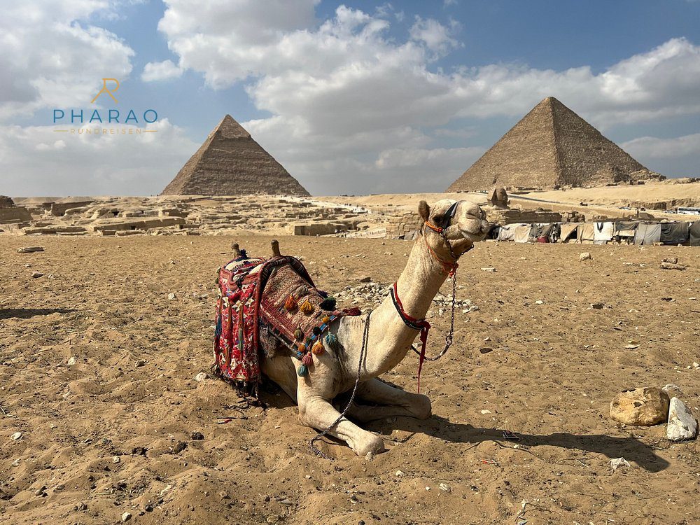 Ägypten Reiserouten im Vergleich | 7, 9, 12, 15 oder 21 Tage – Reisebild 3