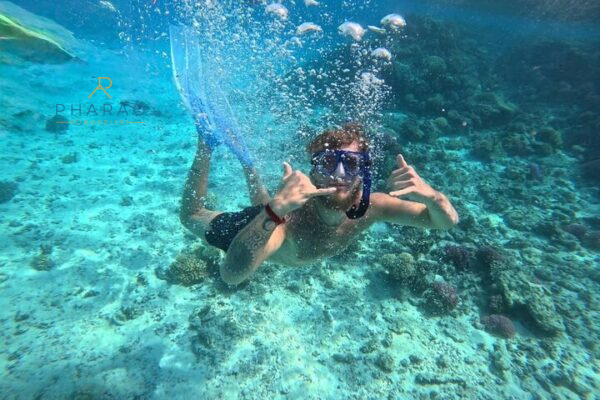 Delfin-Schwimmen in Marsa Alam – Schnorcheln mit Delfinen im Dolphin House Reef