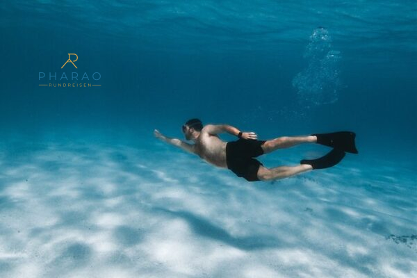 Schnorchel Ausflug am Sataya Dolphin Reef in Marsa Alam – Delfine & Korallen