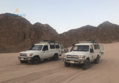 Wüsten Safari zum Wadi El Gemal Nationalpark ab Marsa Alam