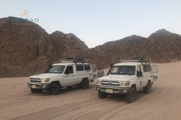 Wüsten Safari zum Wadi El Gemal Nationalpark ab Marsa Alam