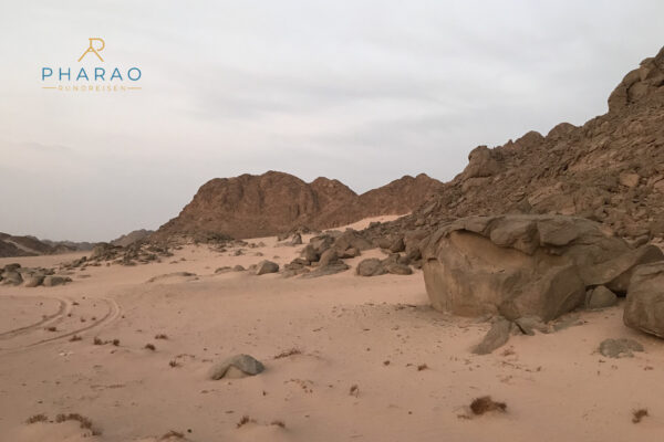 Wüsten Safari zum Wadi El Gemal Nationalpark ab Marsa Alam