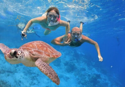 Abu Dabbab Schnorchel Ausflug mit Schildkröten – Schwimmen mit Meeresschildkröten & Dugong