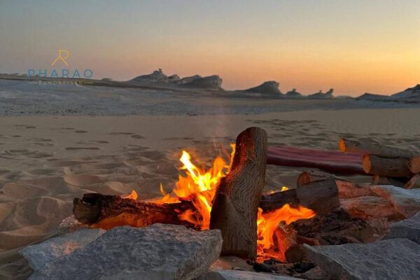 Wüsten Safari zum Wadi El Gemal Nationalpark ab Marsa Alam