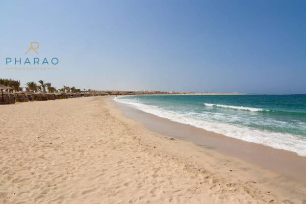 Abu Dabbab Schnorchel Ausflug mit Schildkröten – Schwimmen mit Meeresschildkröten & Dugong