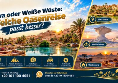 Siwa oder Weiße Wüste : Welche Oasenreise passt besser?